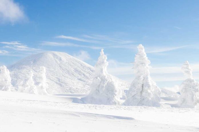 shutterstock_2494393015.jpg featured image Snowcovered trees with mountain under clear blue sky