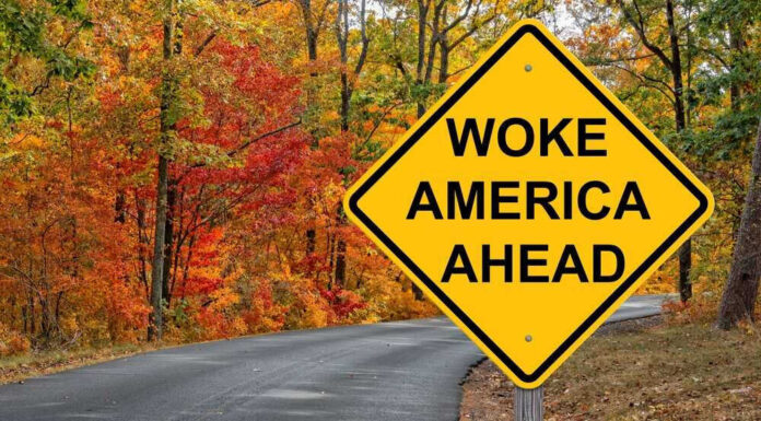 shutterstock_2311013175.jpg Yellow road sign Woke America Ahead in autumn forest