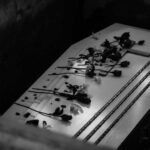 Coffin with flowers inside a dark burial plot