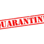 Quarantine Shock: 153 Students Isolated! Red stamp with the word QUARANTINE on a white background