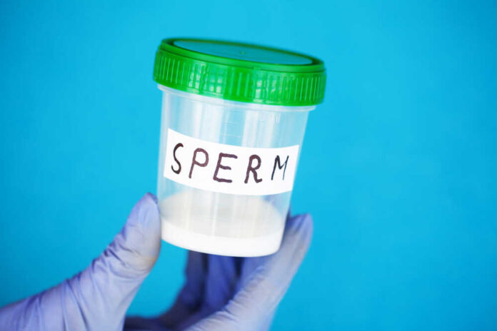 A gloved hand holding a container labeled 'SPERM'