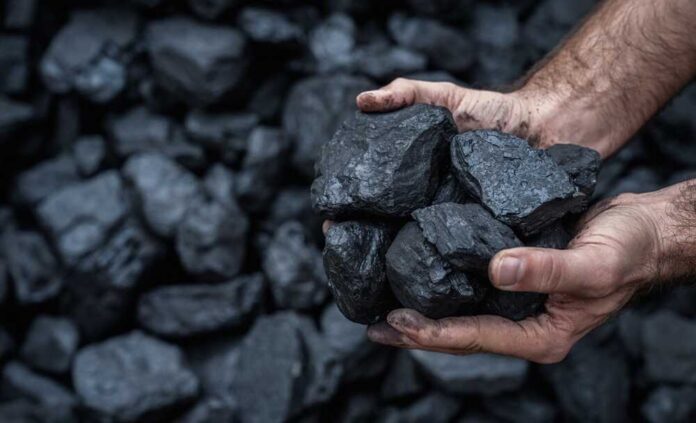 Hands holding several pieces of black coal against a background of more coal