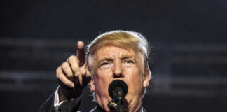 President Donald Trump