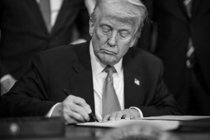 shutterstock_2747469383.jpg President Donald Trump