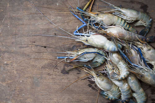 A pile of fresh shrimp on a wooden surface