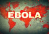 Ebola Alert: Hidden Dangers Lurking?
