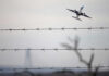 Power Bank SCARE! Emergency Landing Bombshell Airplane taking off view through barbed wire fence