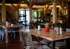 Deadly Wind-Driven Tragedy Interior of a cozy restaurant with wooden tables and decorative plants
