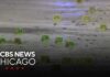 At least 12 injured after mass shooting on Chicago's South Side