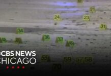 Juneteenth Bloodbath Rocks Chicago At least 12 injured after mass shooting on Chicago's South Side