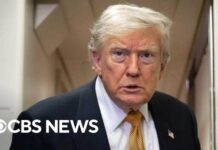 Judge Torches Trump’s ‘Fake’ IRS Fight Judge rebukes Trump and DOJ over IRS lawsuit, refers lawyer for disciplinary proceedings