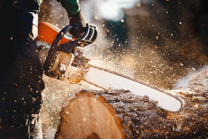 Woodcutter,Saws,Tree,With,Chainsaw,On,Sawmill