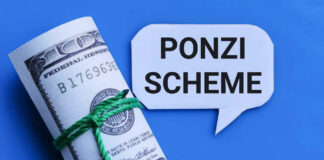 Rolled hundred dollar bills with a speech bubble saying 'Ponzi Scheme'