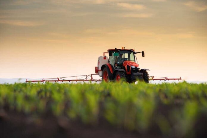 Tractor,Spraying,Pesticides,On,Corn,Field,With,Sprayer,At,Spring A tractor spraying crops in a field during sunset