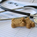 Cheap Pet Meds — Hidden Snag Inside? Customer talking to pharmacist at a bright pharmacy.