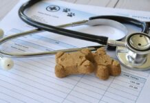 Cheap Pet Meds — Hidden Snag Inside? Customer talking to pharmacist at a bright pharmacy.