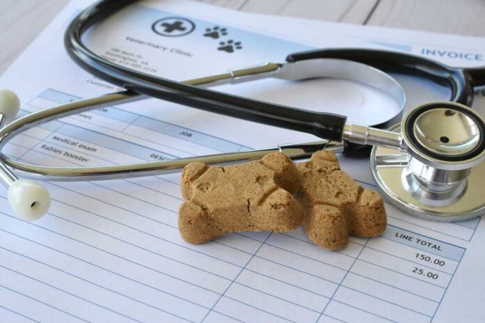 Vet,Veterinarian,Bill,Invoice,With,Stethoscope,And,Dog,Treats.,Medical Customer talking to pharmacist at a bright pharmacy.