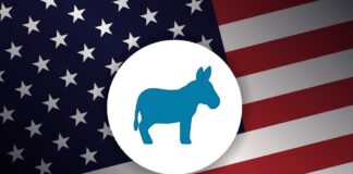 Blue donkey symbol on a background of the American flag