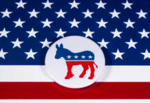 Allegation Upends Democrat — Insiders Seize Control Democratic Party donkey logo on American flag background.