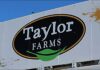 Taylor Farms Situation Is Insane: Outbreak Updates