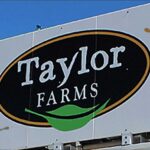 Parasite Lettuce Sparks Nationwide Panic Taylor Farms Situation Is Insane: Outbreak Updates