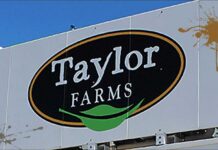 Parasite Lettuce Sparks Nationwide Panic Taylor Farms Situation Is Insane: Outbreak Updates