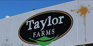 Taylor Farms Situation Is Insane: Outbreak Updates