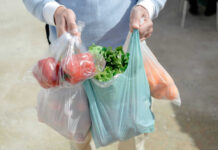 Deadly Lettuce Triggers BOMBSHELL Change Person carrying grocery bags with vegetables and fruits.