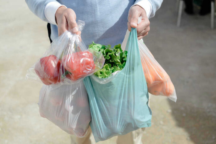 shutterstock_1090356905 Person carrying grocery bags with vegetables and fruits.