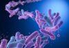 Killer Bacteria Stalks THESE Waters?!