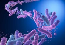 Killer Bacteria Stalks THESE Waters?!
