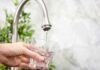 Hand filling pitcher with water from faucet.