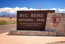 Billion-Dollar Border Build HALTED in Big Bend Border patrol officer watches group sitting by a fence.