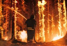 Arson Hits Resort Paradise Firefighter battling a raging forest wildfire at night