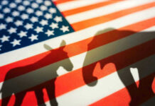 Donkey and elephant shadows on American flag background.